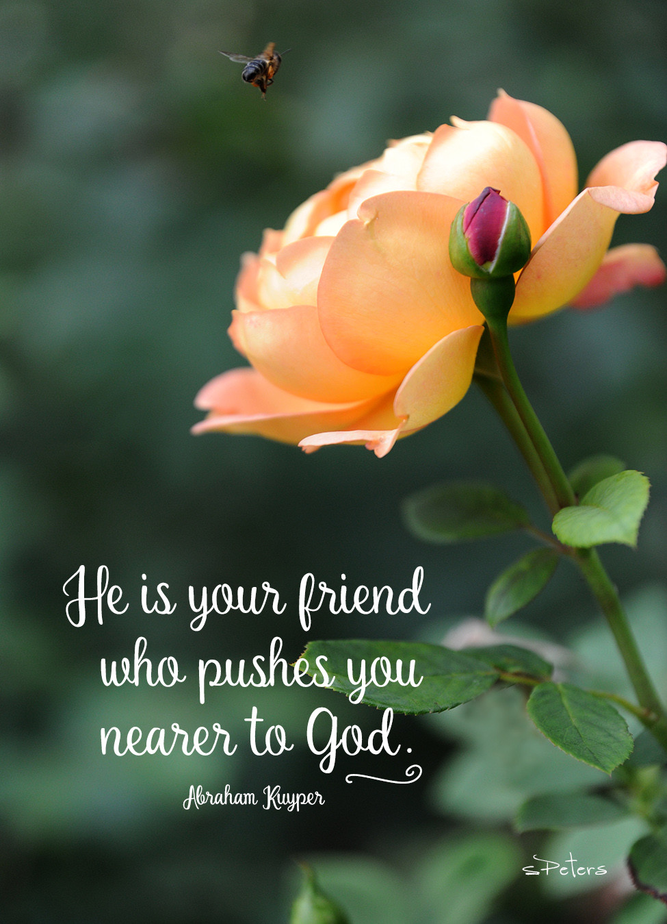 Bradbury Lane Gifts and Greetings in Richardson, TX