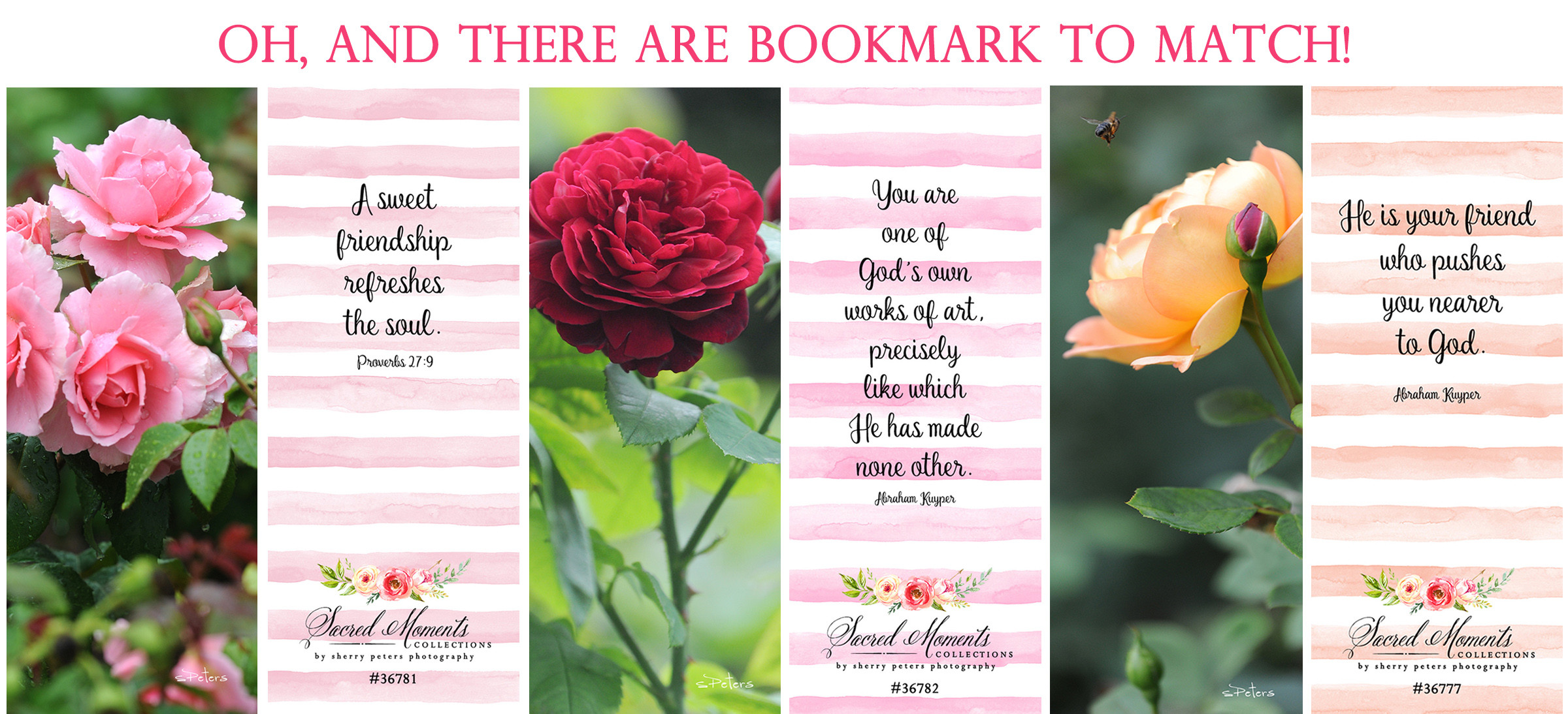 Bradbury Lane Gifts and Greetings in Richardson, TX