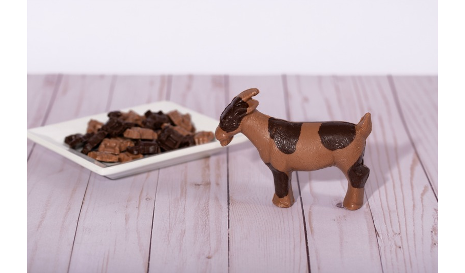 The Chocolate Goat Gift Shoppe Home