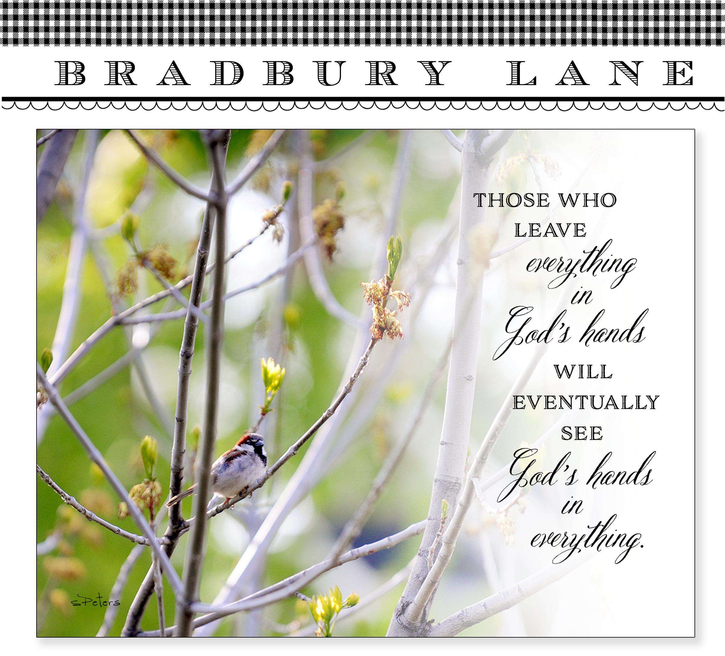 Bradbury Lane Gifts and Greetings in Richardson, TX